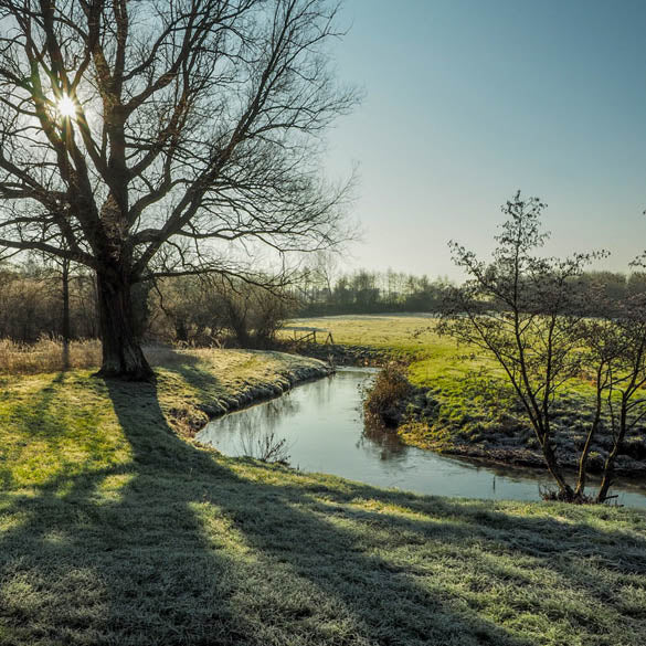 JULY CHARITY PARTNER UPDATE: BRISTOL AVON RIVERS TRUST