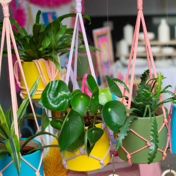 Spring Market at Wiper and True: Makers, Bakers, Producers & Growers