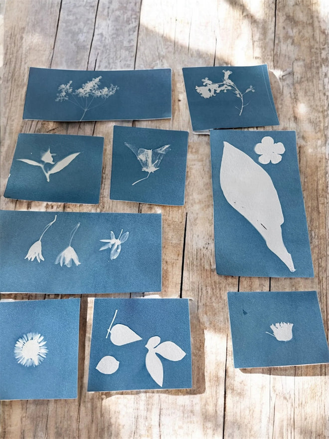 Cyanotype Workshop