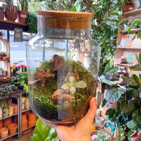 Taproom Terrarium Workshop by Sprouts