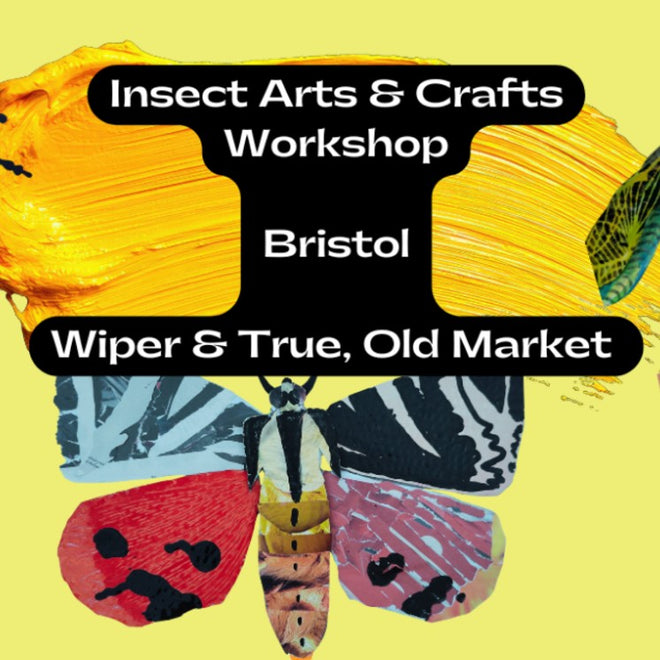 Insect Arts & Crafts Workshop